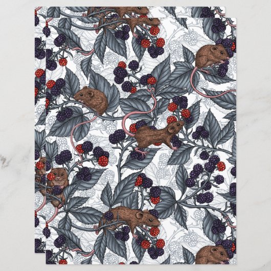 ネズミと白い黒い果実 (正面/裏面)