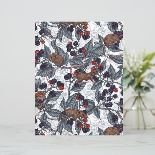 ネズミと白い黒い果実 (スタンド正面)