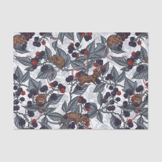 ネズミと白い黒い果実 薄葉紙 (正面)