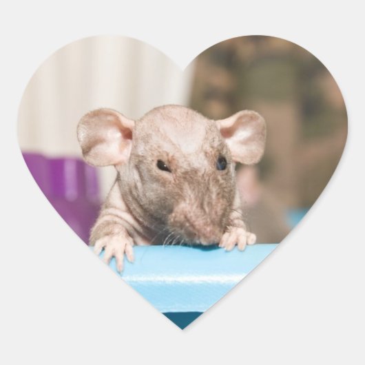 ネズミのシール ハートシール (正面)