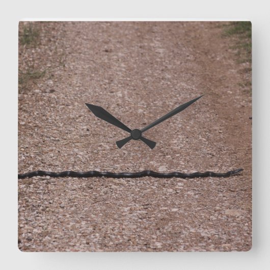 ネズミのヘビ時計 スクエア壁時計 (正面)