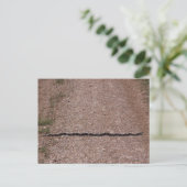 ネズミのヘビ ポストカード (スタンド正面)