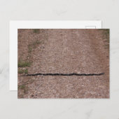 ネズミのヘビ ポストカード (正面/裏面)