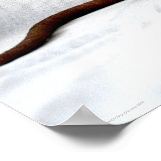 ネズミのワプカン ポスター (角)