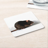 ネズミの共同胃 スクエアペーパーコースター (アングル)