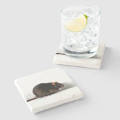 ネズミの共同胃 ストーンコースター (横)