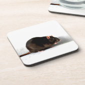 ネズミの共生 コースター (左側)