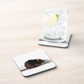 ネズミの共生 コースター (右側)