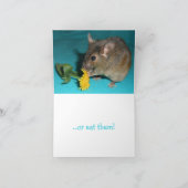 ネズミの匂いのする花 カード (内部)