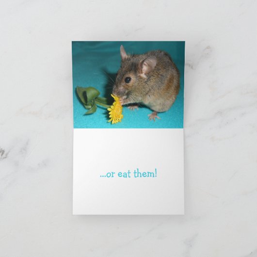 ネズミの匂いのする花 カード (内部)