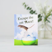 ネズミの競走を逃れろ！ ポストカード (スタンド正面)