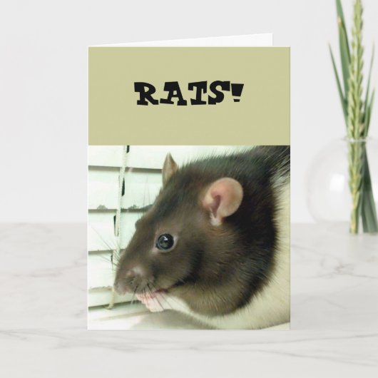 ネズミの鐘がすぐに回復するカード カード (正面)