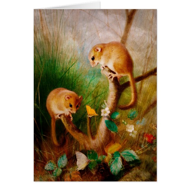 ネズミはニースです (正面)