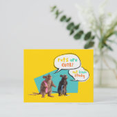 ネズミは可愛いが臭い ポストカード (スタンド正面)