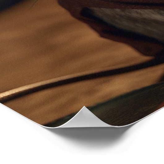 ネズミ読は本だ ポスター (角)