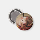 ネズミ食べ物のピーナッツバターサンドイッチ マグネット (正面/裏面)