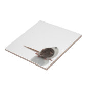 ネズミ タイル (側面)