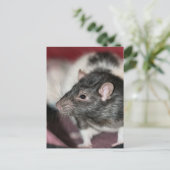 ネズミ ポストカード (スタンド正面)