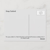 ネズミ ポストカード (裏面)