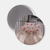 ネズミ マグネット (正面/裏面)