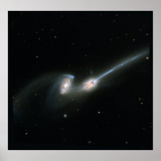 ネズミ(NGC 4676) – 衝突する銀河系 ポスター