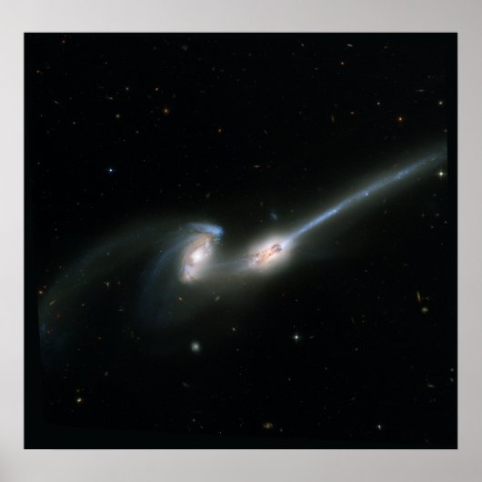 ネズミ(NGC 4676) – 衝突する銀河系 ポスター (正面)