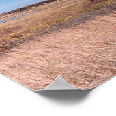 ネセダの草原の草と湿地 ポスター (角)