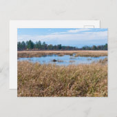 ネセダ牧草湿地と森のはがき ポストカード (正面/裏面)