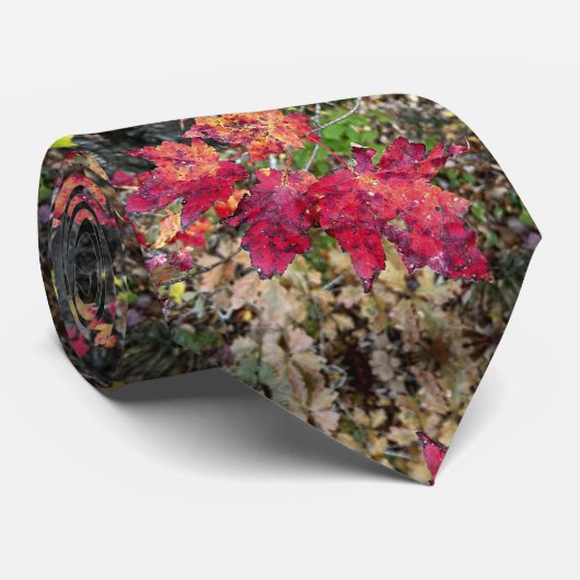 ネックタイ/紅葉パターン ネクタイ (ロール)