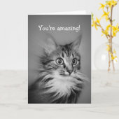 ネックラフ付きあきれた猫ハッピーバースデー カード (黄色い花)