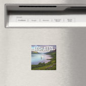 ネッシー旅行 マグネット (インサイチュ (食洗機))