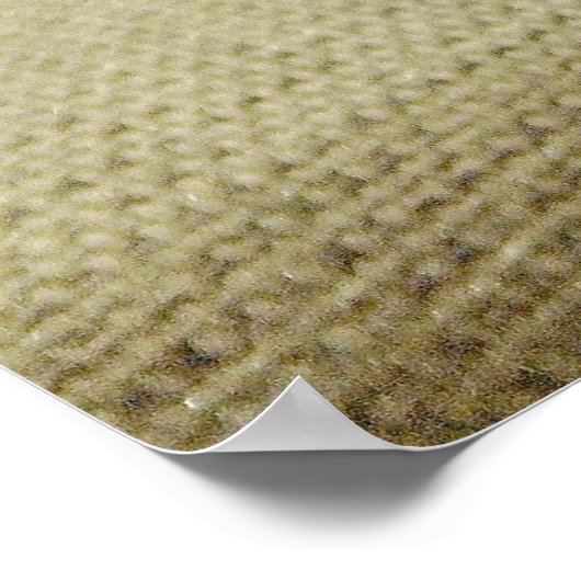 ネッダ ポスター (角)