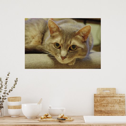 ネッダ ポスター (キッチン)