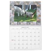 ネットの猫友達 カレンダー (3月 2027)