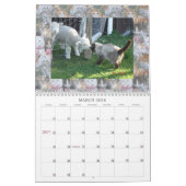 ネットの猫友達 カレンダー (3月 2026)