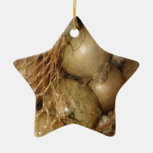 ネットの玉ねぎ、野菜、スパイシーな料理 セラミックオーナメント (正面)