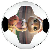 ネットボールの雌猫。 サッカーボール (回転)