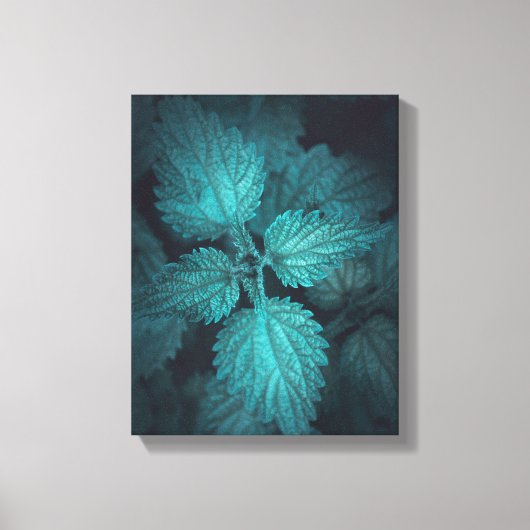 ネットル自然写真 キャンバスプリント (正面)