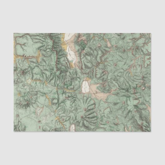 ネバダの土地分類の地図 薄葉紙 (正面)