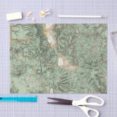 ネバダの土地分類の地図 薄葉紙 (クラフト)