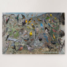 ネバダの裏庭の鳥