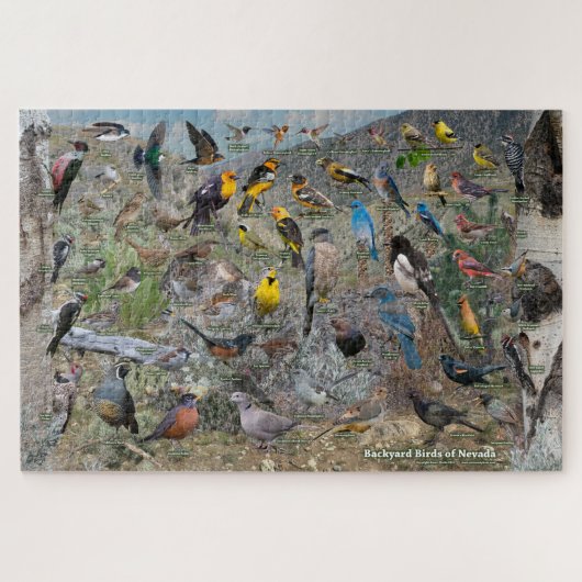 ネバダの裏庭の鳥 ジグソーパズル (横)