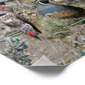 ネバダの裏庭の鳥 ポスター (角)