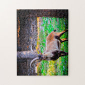 ネバダの野生のヤギ。 ジグソーパズル (縦)