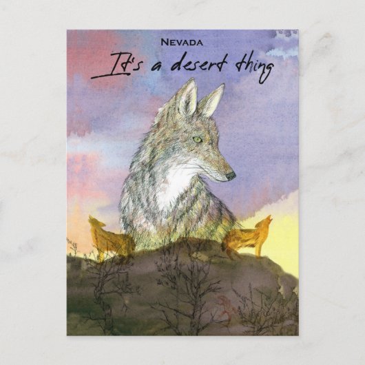 ネバダコヨーテ砂漠の夕日だ ポストカード (正面)