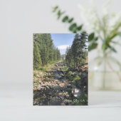 ネバダシティカリフォルニアポストカード ポストカード (スタンド正面)