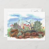 ネバダデザートインディアンペイントブラシウォータカラー ポストカード (正面/裏面)