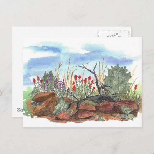 ネバダデザートインディアンペイントブラシウォータカラー ポストカード (正面/裏面)