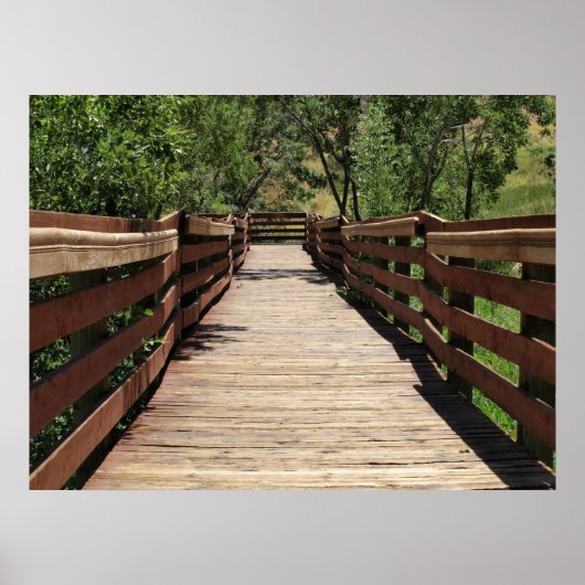 ネバダハイキングトレイル、レッドロックキャニオン、カリコ盆地 ポスター (正面)