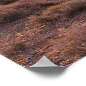 ネバダピラミッドレイクサンライズ ポスター (角)